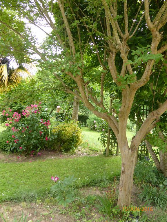 Bed and Breakfast Bedbreakfastbikespyrenees Loubieres Exterior foto