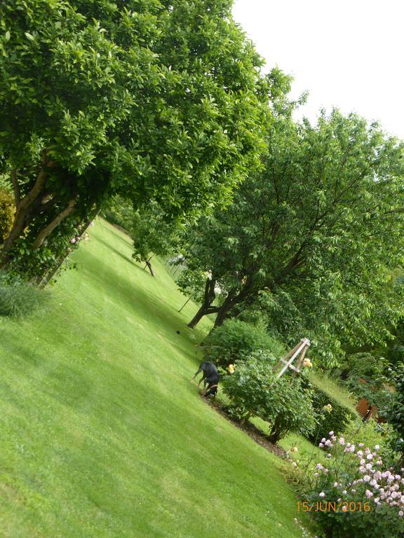 Bed and Breakfast Bedbreakfastbikespyrenees Loubieres Exterior foto